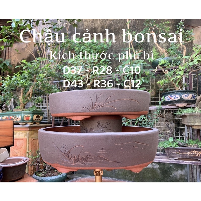 Chậu ovan - chậu gốm tàu - chậu trồng cây bonsai ovan
