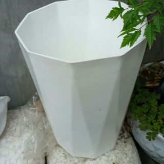5 chậu cao cấp to 30cm cao 40cm đẹp