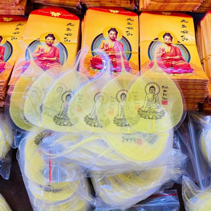 Combo 50 lá bồ đề