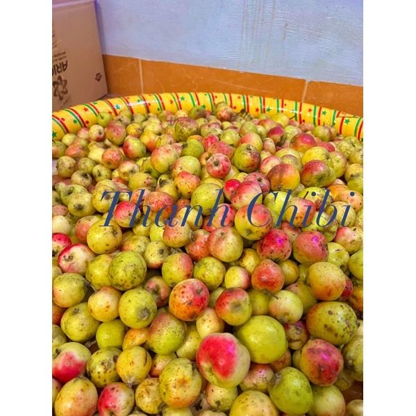Táo Mèo Tươi 5kg