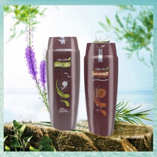 Dầu gội Thái dương 7 " 7 ngày không gàu không ngứa"