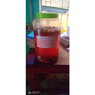 Thuốc Om bóp cho gà chọi