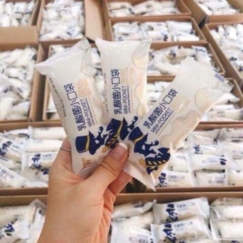 THÙNG BÁNH SỮA CHUA 500GRAM