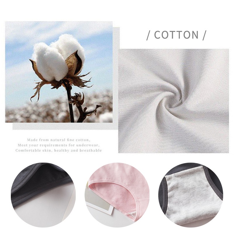 Quần lót cotton lưng thấp thời trang Hàn Quốc cho nữ