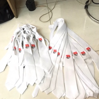 CÀ VẠT ĐOÀN THANH NIÊN, CAVAT ĐOÀN