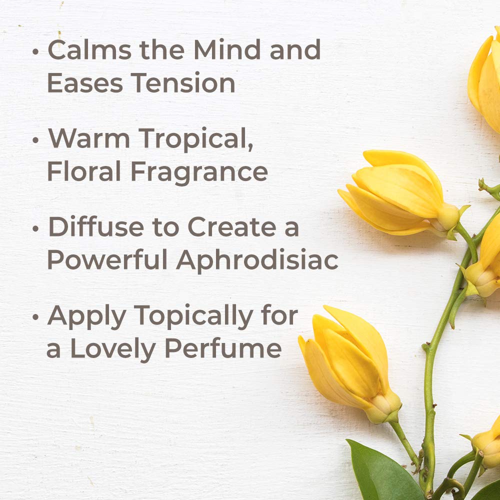 Plant Therapy - Tinh Dầu hữu cơ Ngọc Lan Tây  - Organic Kidsafe essential oil
