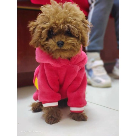 Áo cho chó cún poodle mèo con thú cưng lớn giữ ấm cho mùa đông chất bông len, quần áo cho thú cưng dành cho chó mèo