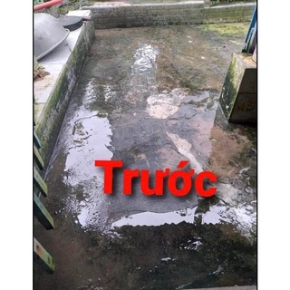 Bột tẩy rong rêu