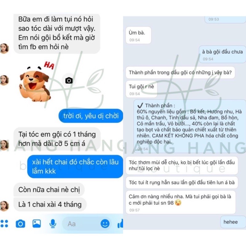 Dầu Gội Thiên Nhiên Bồ Kết Thảo Dược Cô Đặc Handmade - Kích Tóc Nhanh Dài Sạch Gàu Giảm Rụng | BigBuy360 - bigbuy360.vn