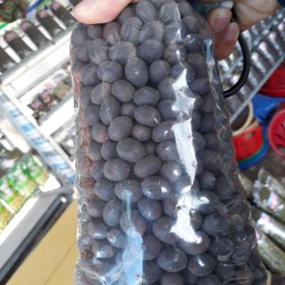 Hạt sen khô còn vỏ
