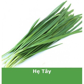 Hạt giống lá hẹ Tây - gói 1 gram