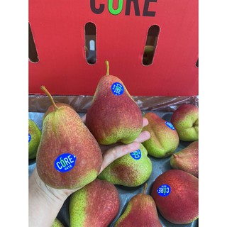 Set 4 trái khoảng 1 kg Lê Nam Phi ngon giòn