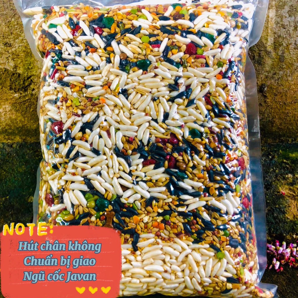 Thức ăn hamster, 500gram ngũ cốc Javan cao cấp cho bé yêu