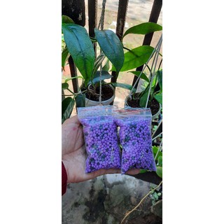Phân tan chậm chuyên dùng cho lan