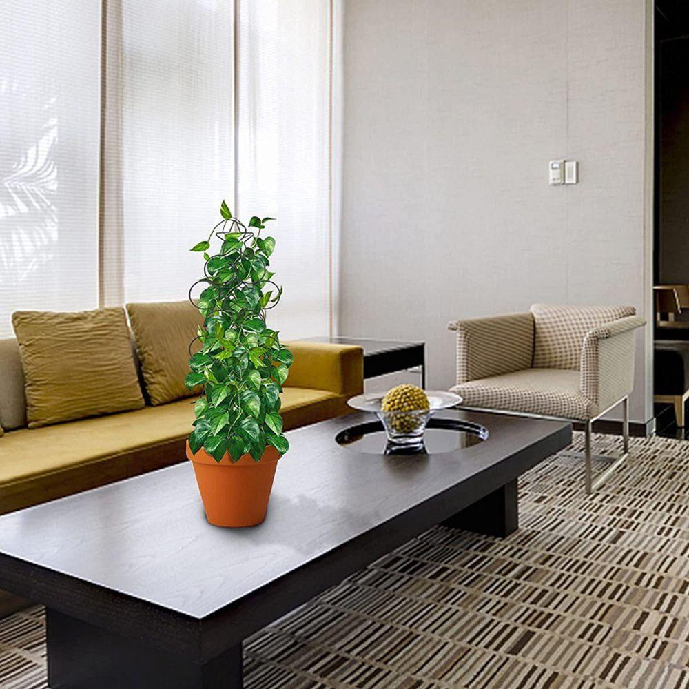 Giá Đỡ Hỗ Trợ Cây Dây Leo DIY