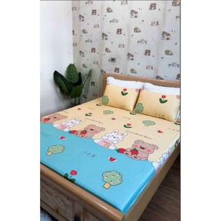 Ga chống thấm cao cấp cotton 2in1