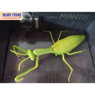 BỌ NGỰA KHỔNG LỒ 3D ĐIỀU KHIỂN TỪ XA Kèm 6 pin nút