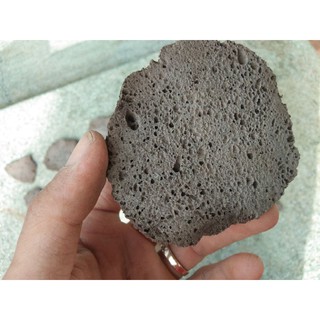 Giá thể bucep- Giá thể nham thạch.