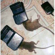 3 chiếc Bẫy chuột thông minh kiểu kẹp - tặng kèm mồi bẫy