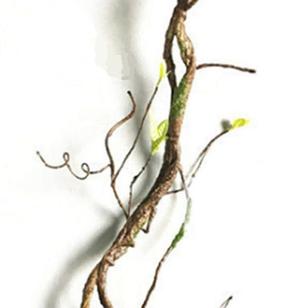 Cành cây leo nhân tạo trang trí bể bò sát