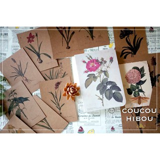 POSTCARD 30 TẤM GIẤY KRAFT-HOA LILY