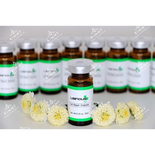 Hộp tế bào gốc Lainous Hàn Quốc 12 tuýp