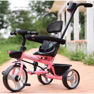 XE 3 BÁNH CÓ CẦN ĐẨY GHẾ ĐỆM