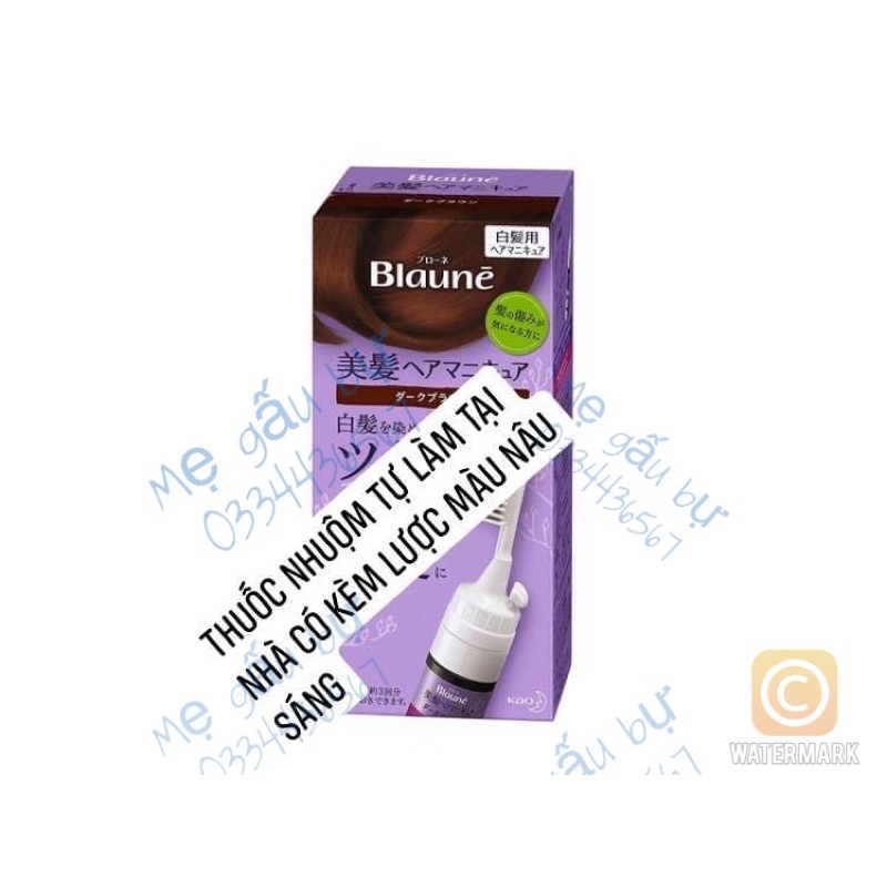 Thuốc nhuộm phủ bạc kèm lược Blaune cao cấp nội địa Nhật