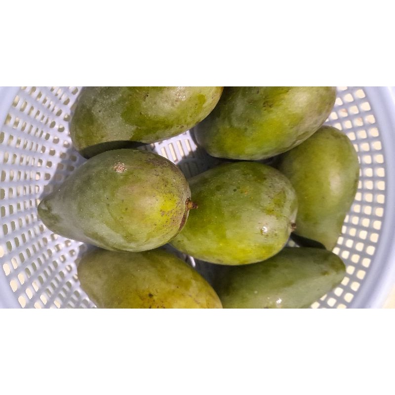 Xoài keo chua ngọt