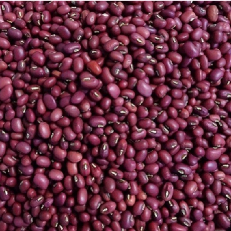 Đậu đỏ hữu cơ 1kg