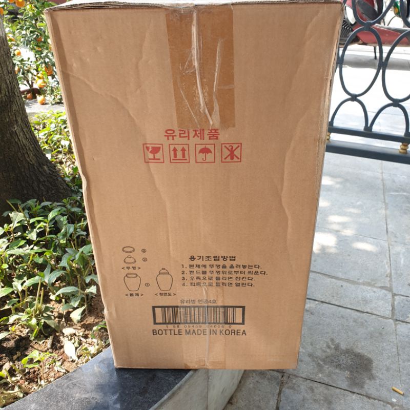 Bình Ngâm Sâm Hàn Quốc Dáng Cao 90cm