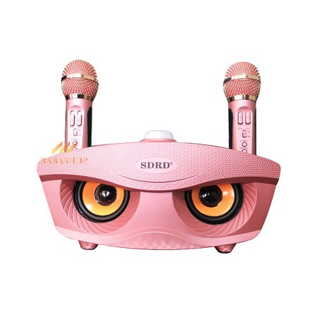 LOA BLUETOOTH KARAOKE MINI SD-306 kiêm 2 micro ko dây
