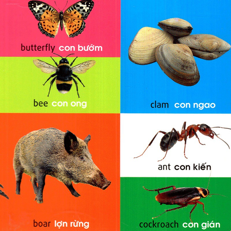 Sách: 101 First Words - Animals / 101 Từ Đầu Tiên - Động Vật - TSMN
