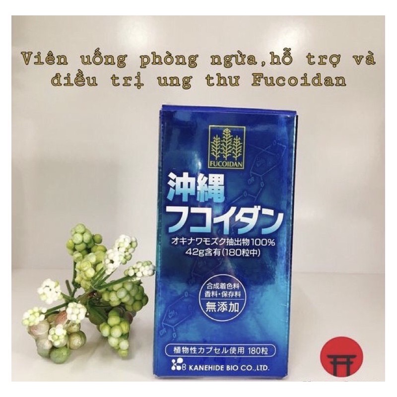 Tảo hỗ trợ ngừa ung thư Fucoidan okinawa