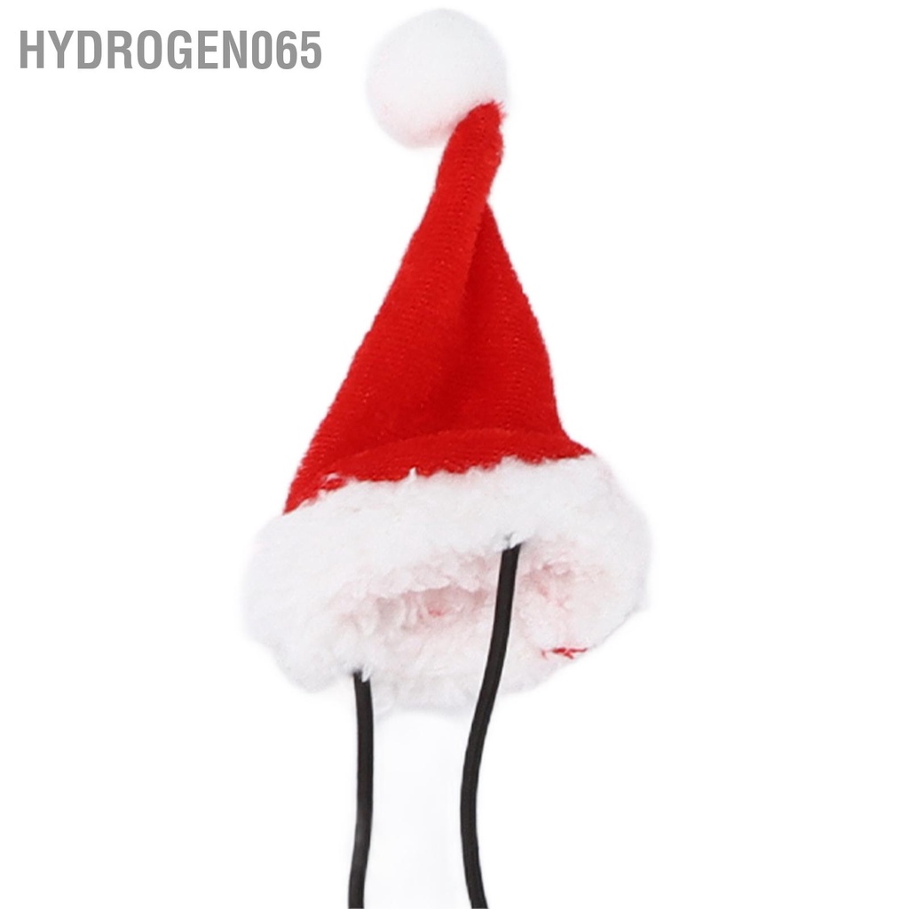 Hydrogen065 Ông già Noel Mũ Khăn quàng Thằn lằn Dây xích Bộ dây đai có thể điều chỉnh Râu mềm buộc cho loài bò sát