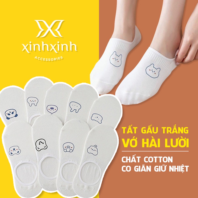 Tất gấu ngắn cổ, Set 5 đôi vớ trắng, kiểu dáng basic và dễ thương - Xinh Xinh Accessories