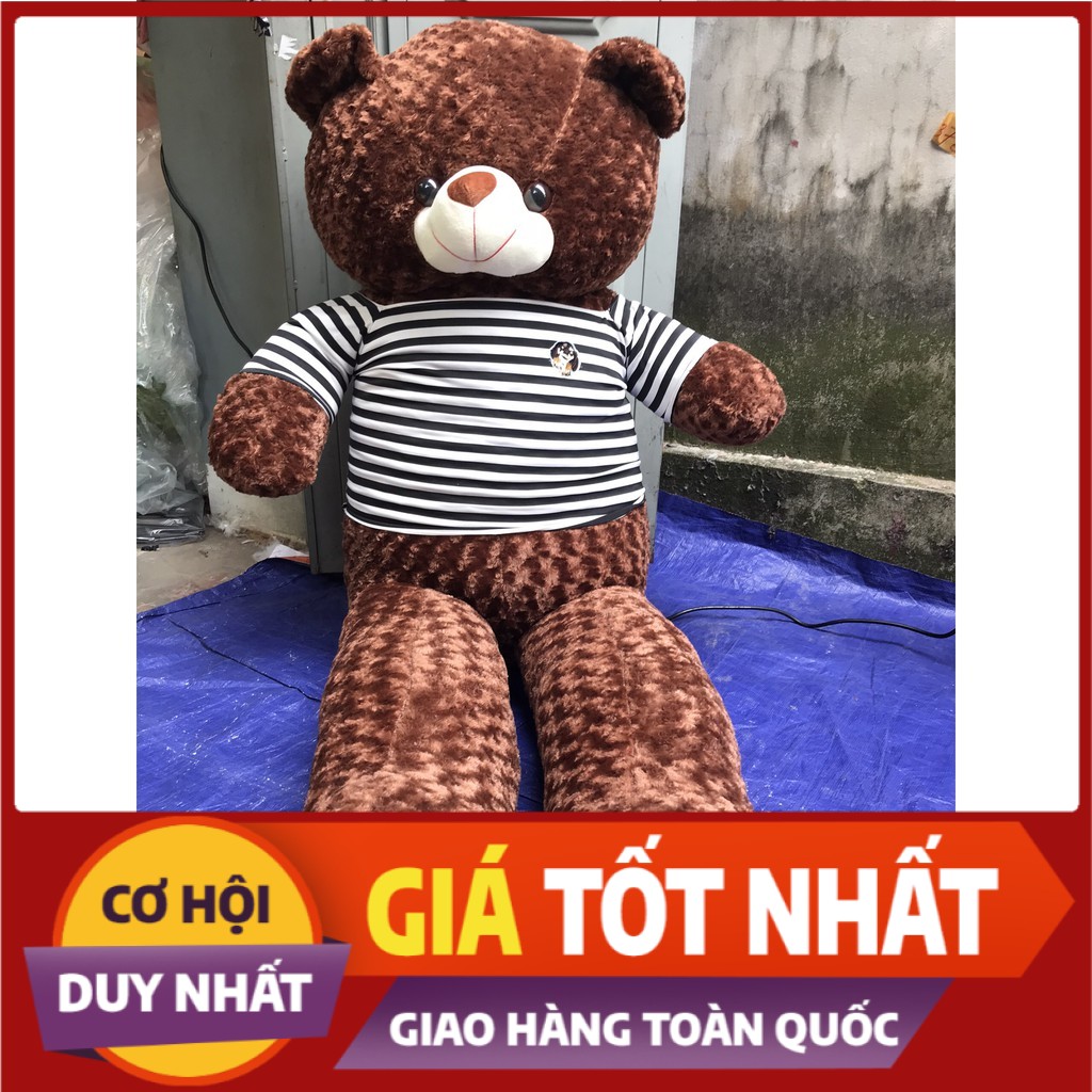 Gấu Bông Teddy 1m8 [ BÁN BỞI NHÀ SẢN XUẤT ]  siêu đáng yêu ôm siêu phê