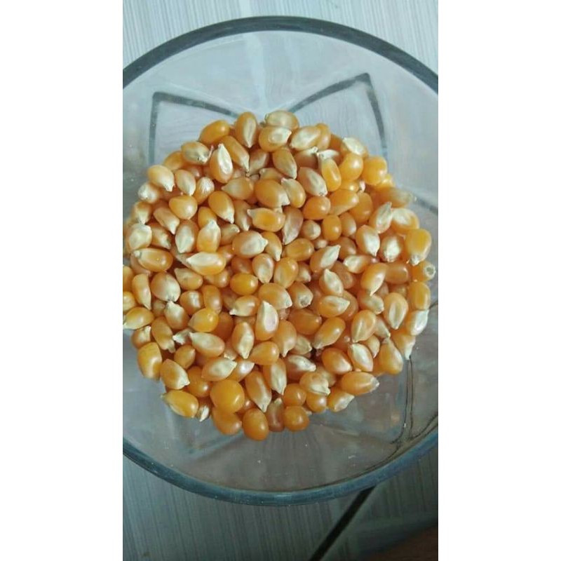 Bắp hạt làm bắp rang bơ