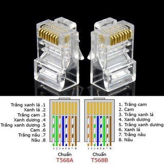 Hạt mạng AMP túi 10 hạt, Cam kết mua sẽ hài lòng