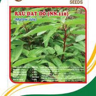 HẠT GIỐNG RAU ĐAY ĐỎ CAO SẢN.