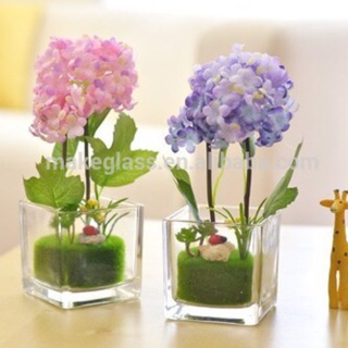 Chậu thủy tinh cắm hoa hình vuông 8x8( chỉ bán chậu)