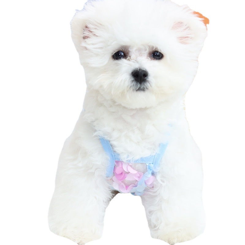 Áo Hai Dây Phối Ren Hoa Thoáng Khí Chống Rớt Cho Thú Cưng