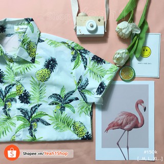 [Yeah1Shop]- Áo sơ mi dứa mới (M, L, XL) SMHH
