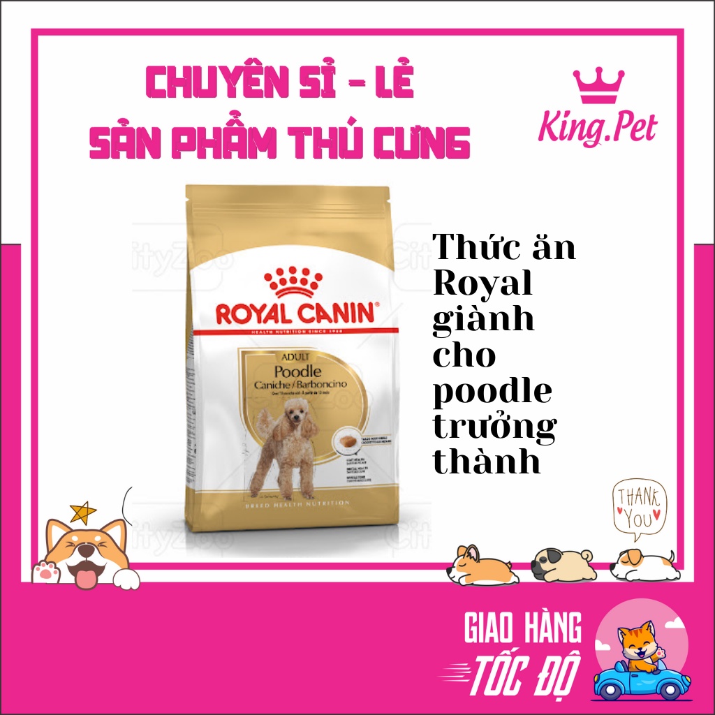 ROYAL POODLE ADULT- THỨC ĂN CHO DÒNG POODLE TRƯỞNG THÀNH