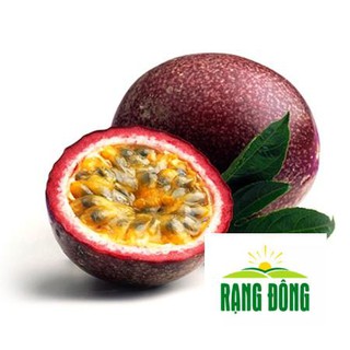 0.2g hạt giống quả chanh dây - đài loan luykyseedvn