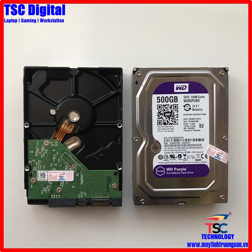 Ổ Cứng 500Gb Western Purple Tím Hàng Nhập Khẩu Chất Lượng Cao | Bảo Hành 24 Tháng