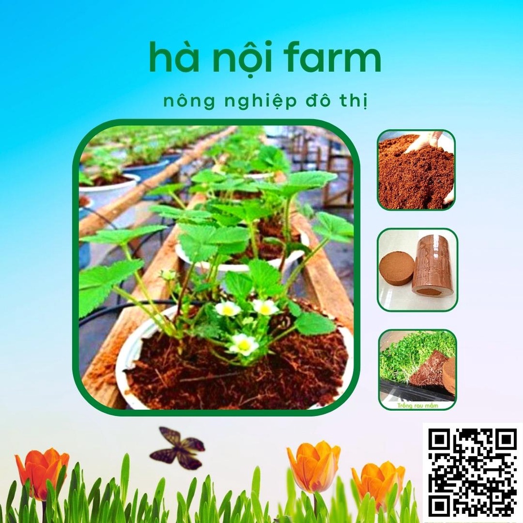 Viên nén xơ dừa, Đất nén xơ dừa tơi xốp trồng rau mầm - 500g