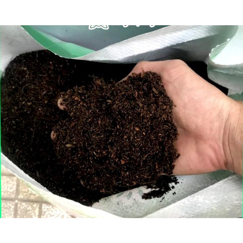 Đất Trồng Mai TRIBAT 10Kg 20dm Đã Trộn Phân