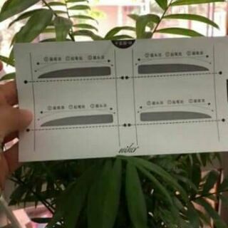 MIẾNG 2 CẶP KHUÔN KẺ MÀY WIKER