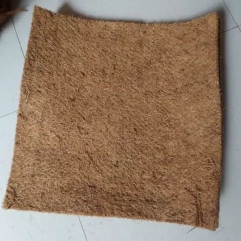 Xơ dừa miếng 50x50cm